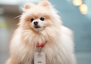 IIHIET 2025 Vienna, Austria