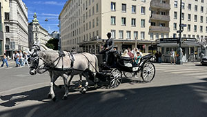 IIHIET 2025 Vienna, Austria